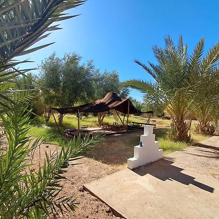 Jardin Du Desert M'Hamid Dış mekan fotoğraf