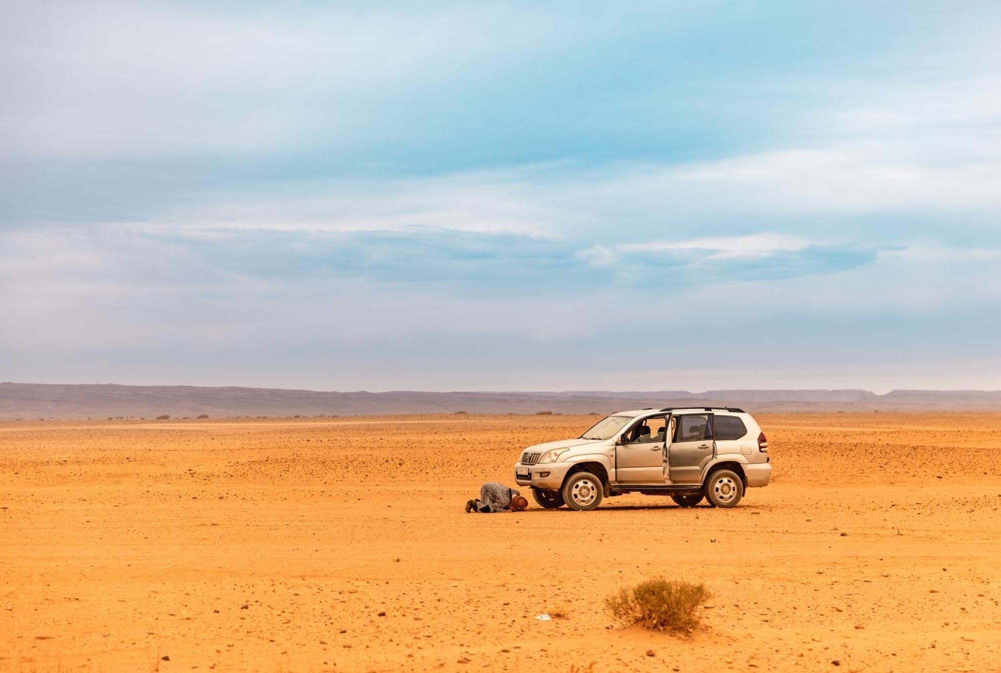 Jardin Du Desert M'Hamid Dış mekan fotoğraf