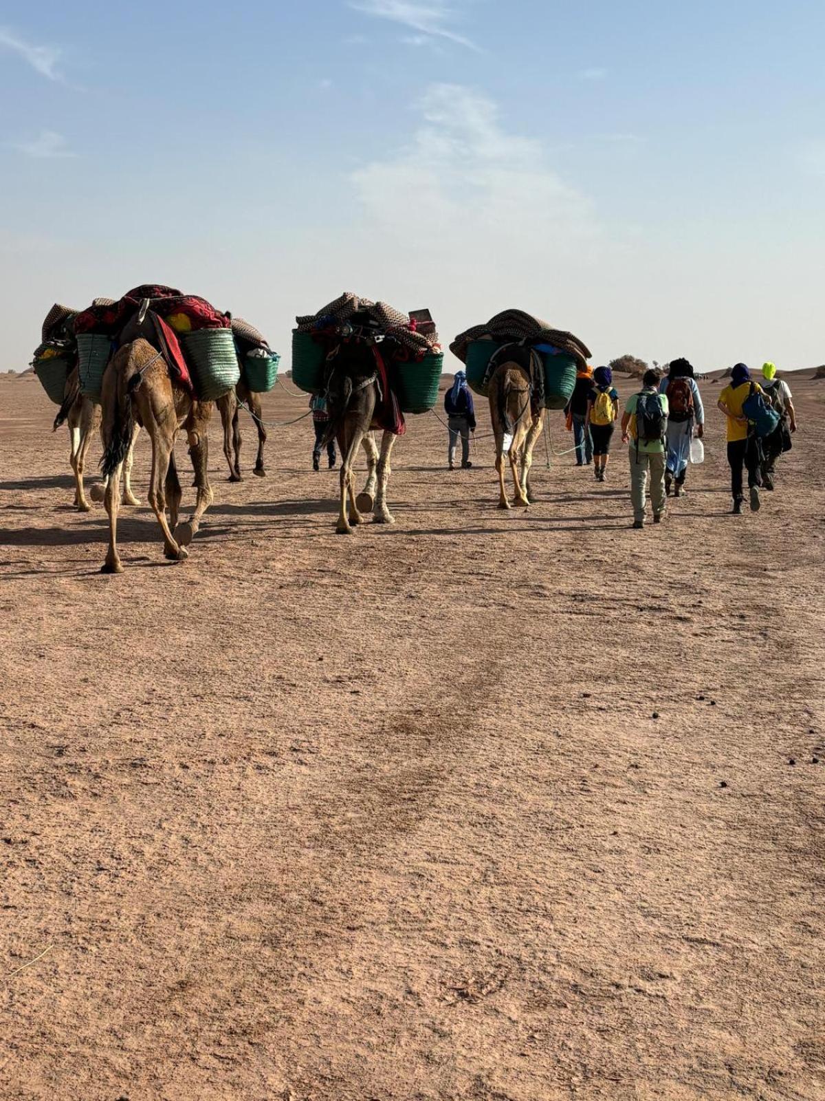 Jardin Du Desert M'Hamid Dış mekan fotoğraf